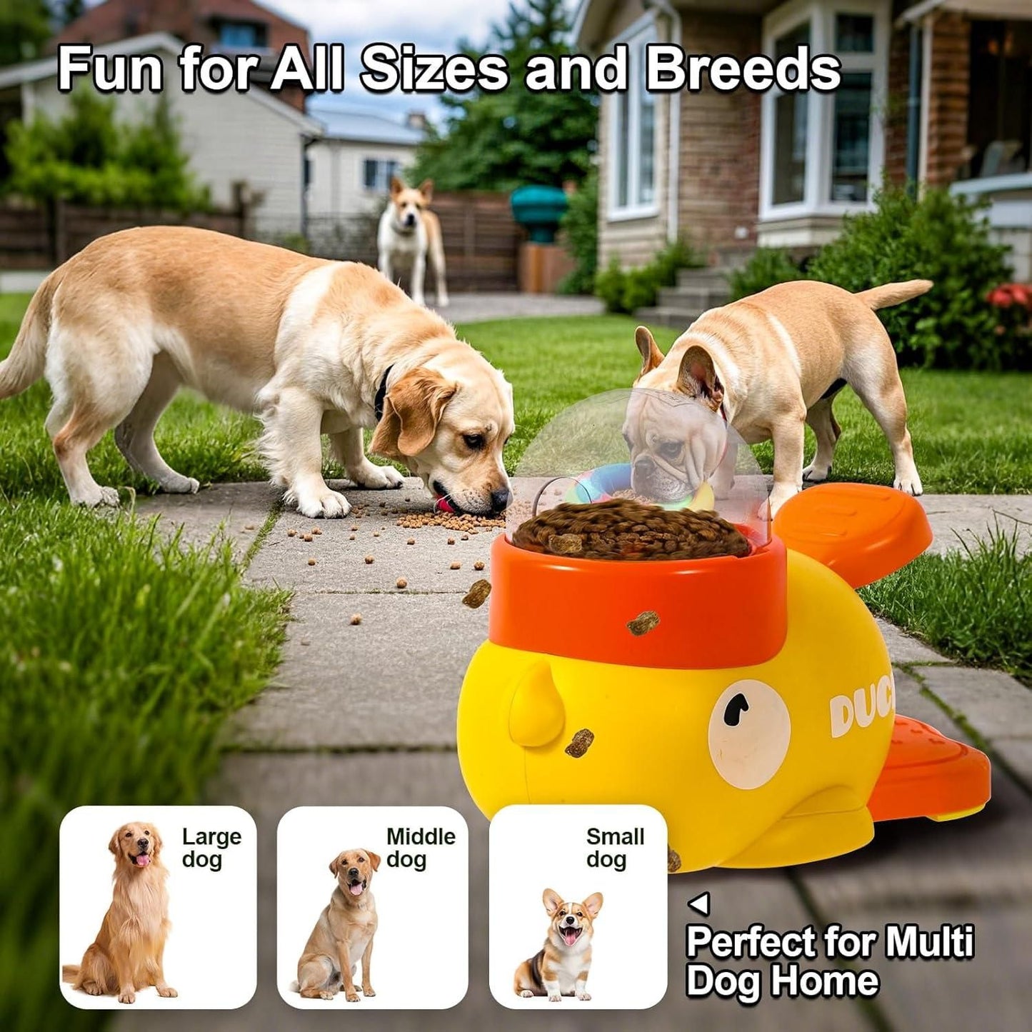 Distributeur de nourriture pour animaux